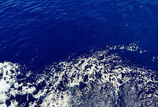 Bleu Marie_edited_edited.jpg