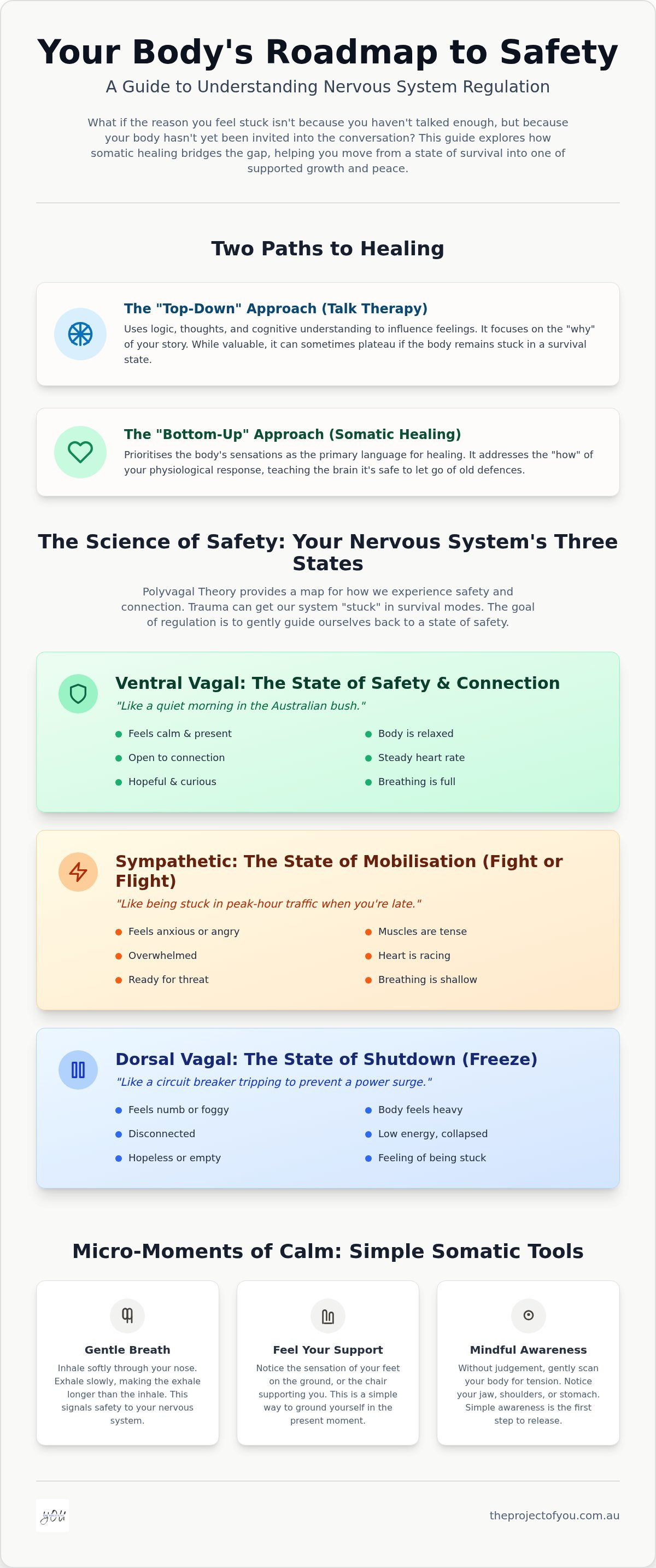 Nervous system regulation therapy Australia