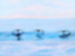 "Fishing at Dawn: The Power of Three""