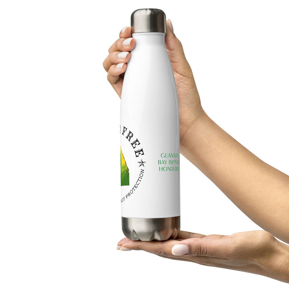 Thumbnail: Save the Parrots Stainless Steel Water Bottle