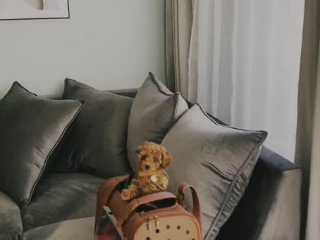 Эксклюзивный вариант от агенства 
Luxury Life Estate✨⚜️ 

Самое большое ЖК Кракова(Nowa 5 Dzielnica)