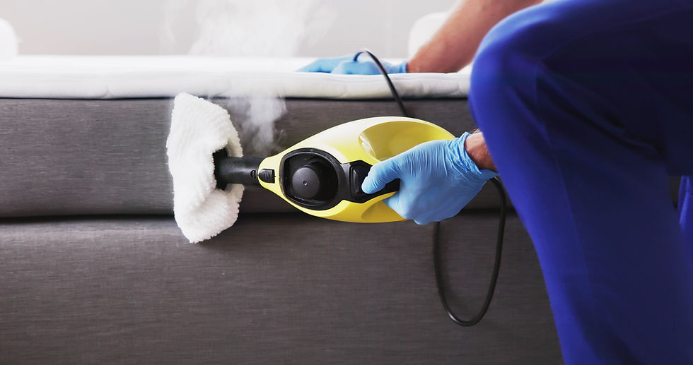 Bed Bug Pest Control Cleaning Using Steam Machine.jpg