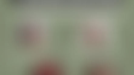 “Mesa: O contexto da mineração em Ouro Preto, Barão de Cocais, Santa Bárbara, Itabira e região”