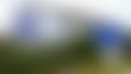 No Brasil, matrículas na Educação a Distância superam presencial no ensino superior