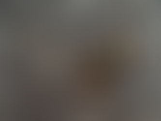 Camponeses são assassinados em ação policial em área rural de Rondônia