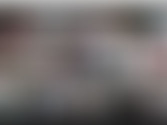 8º Conad Extraordinário prorroga mandato da diretoria do ANDES-SN