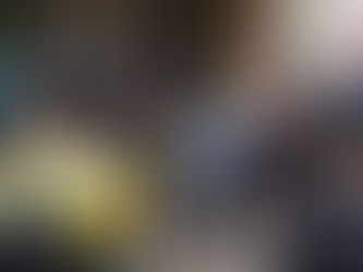 Reitor interventor da UFRGS desliga mais de 190 cotistas que aguardavam análise de matrícula