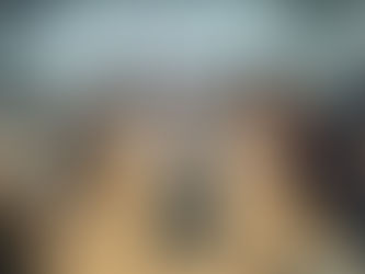 Fonasefe se reúne com GTs da Equipe de Transição e exige “revogaços” e reajuste salarial