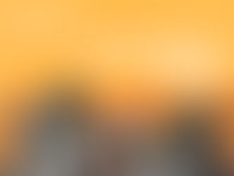 20 de novembro: Dia da Consciência Negra 