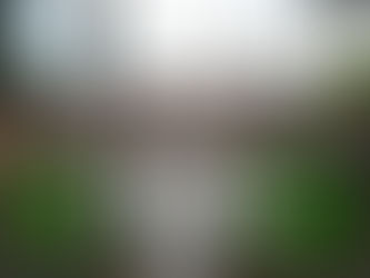 Servidores do Arquivo Nacional denunciam censura e desmonte do órgão