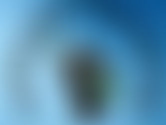 CNPq suspende oferta de bolsas por falta de recursos