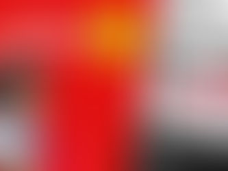 Plenária Nacional de SPFs fortalece mobilização e indicativo de greve