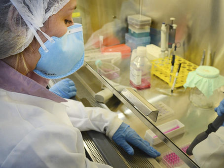 Número de bolsas para pesquisas científicas cai 17,5% na gestão de Jair Bolsonaro