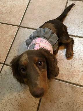 Gabbie6.jpg