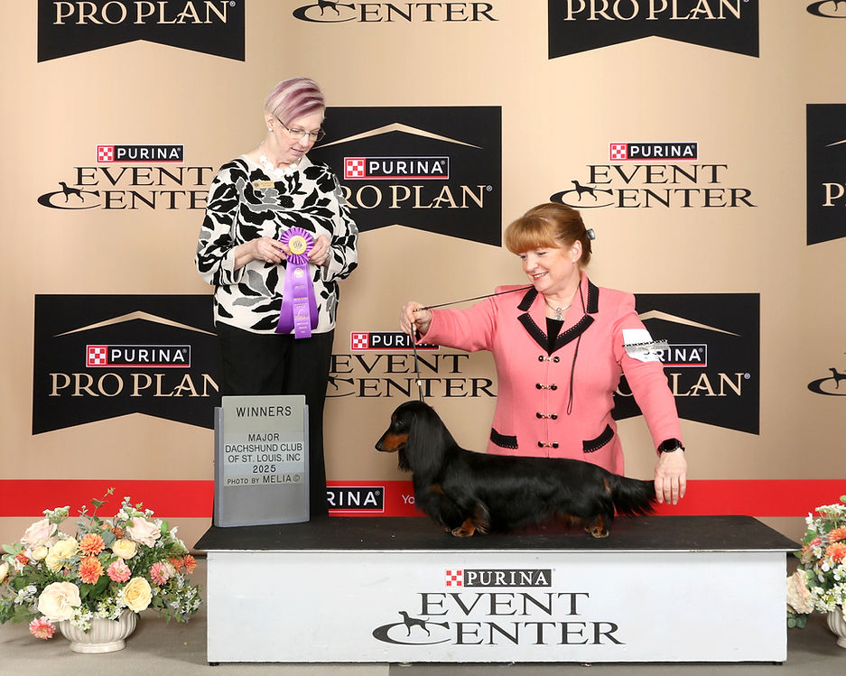 Rocky Specialty Win New CH_edited.jpg