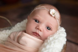 newbornfotografie29