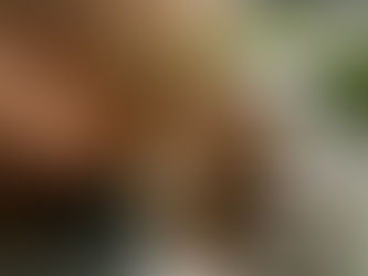 a woman holding roots