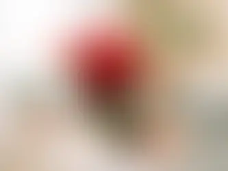 a christmas gifting plant