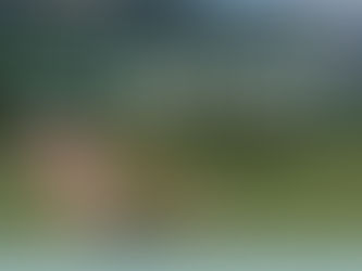 𝙎𝙀𝙈𝘼𝙄𝙉𝙀 𝘽𝙇𝙀𝙐𝙀 - La sieste musicale