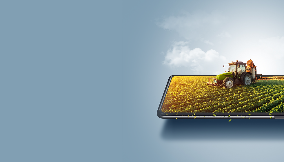 Grupo de máscara 22_2x.png