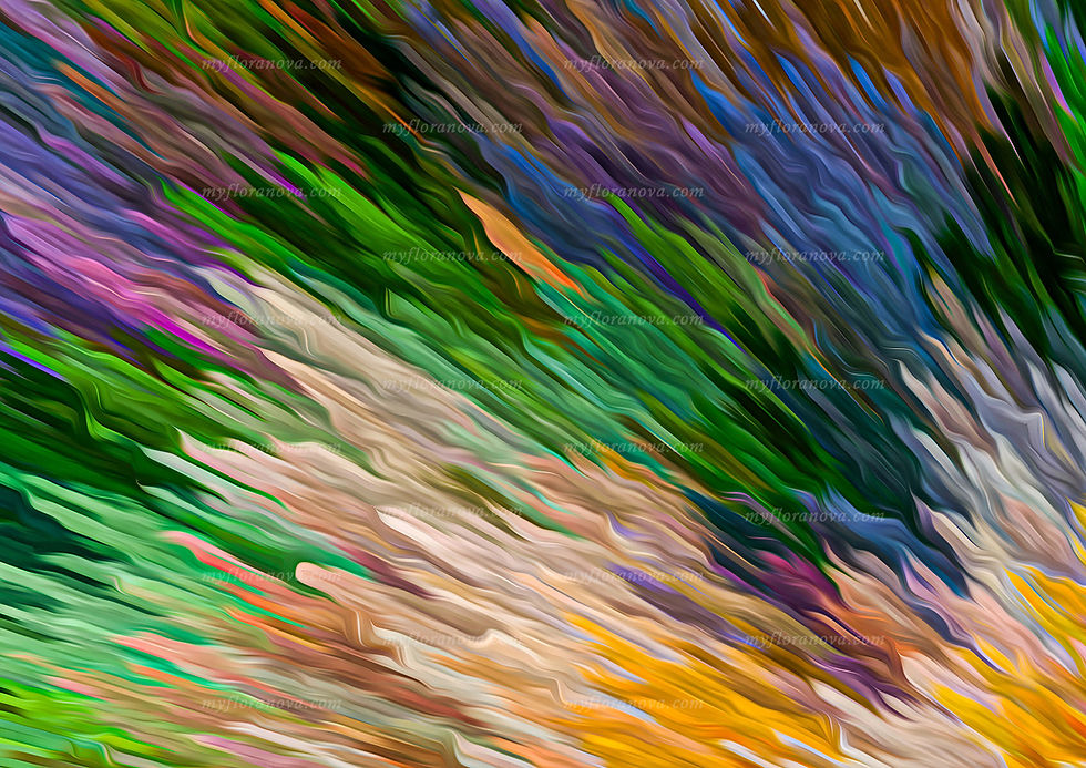 Poster Detail 1.jpg