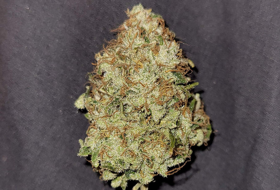White Widow