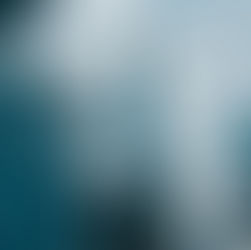 Enhancing Due Diligence: The Role of Social Media Screening