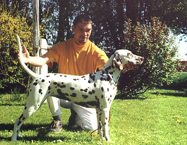 Mocca1.jpg