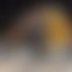 Why the Dallas Mavericks are going to succeed without Luka Doncic