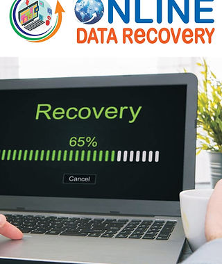 ONLINE DATA RECOVERY_page-0001 (1).jpg