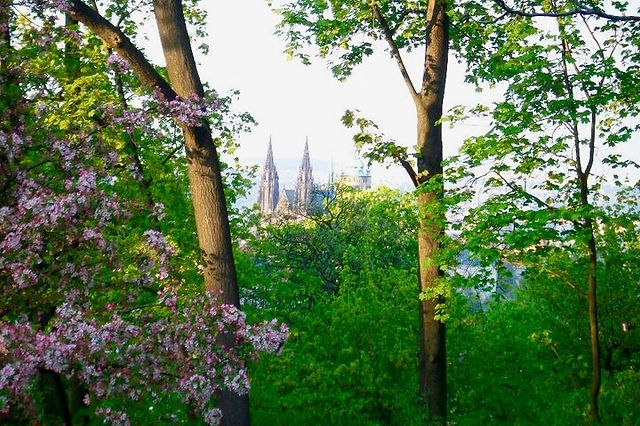 St Vitus Cathedral, Prague