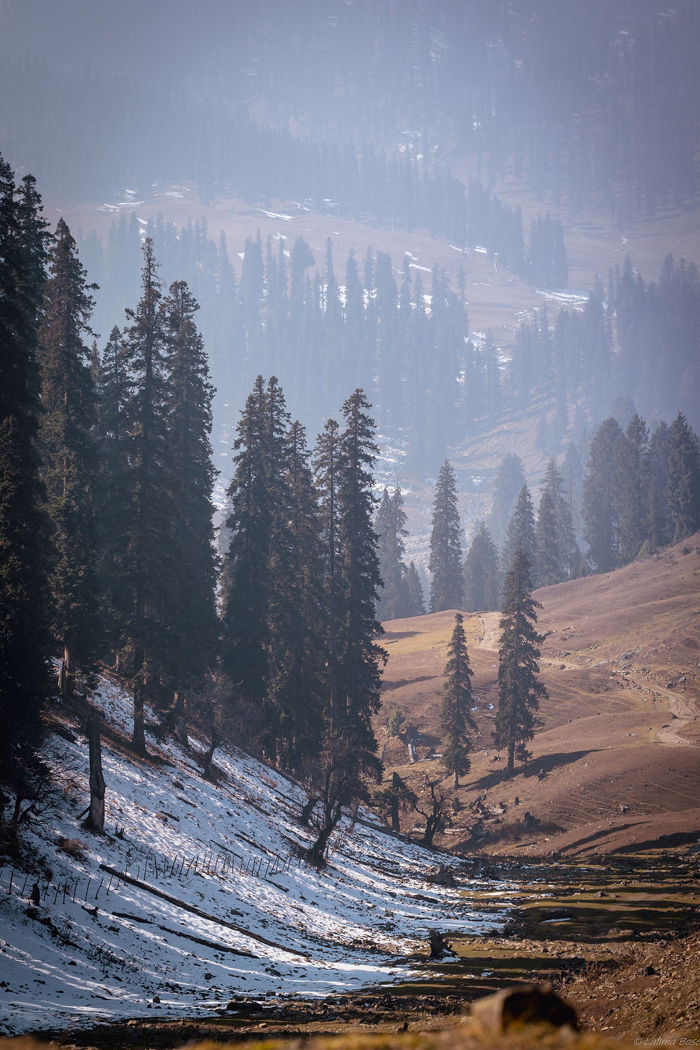 Late winter light, finding ground