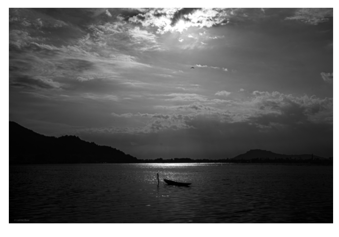 Alone, Yet Not Lonely