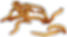 Mealworms