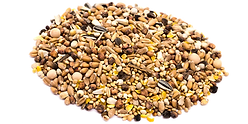 Bird seed