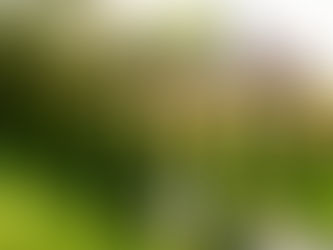 Ein barocker Märchentraum: Heiraten auf Schloss Ottersbach