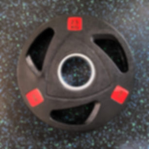 Exertion TriGrip Weight Plate Pairs