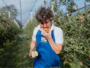 Apfel Südtirol: Geschichte, Gesundheit & Genuss erleben
