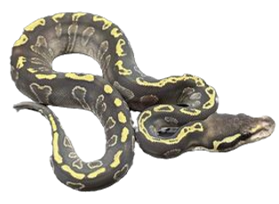 384535328_762731231918549_85724177699568