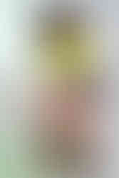 Foto: Felipe Henrique