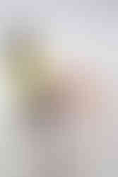 Foto: Felipe Henrique