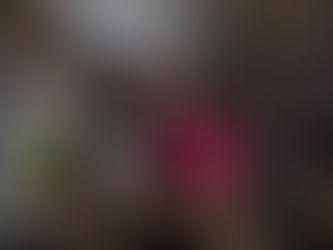 Túlio Paz e o Sebo Lupa: um sonho de várias páginas