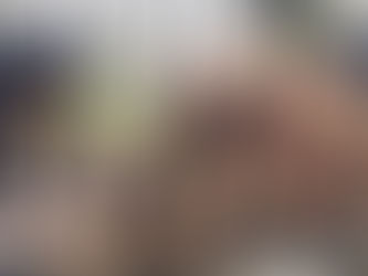 O abandono não espera: projeto independente assume cuidado de animais em Campina Grande