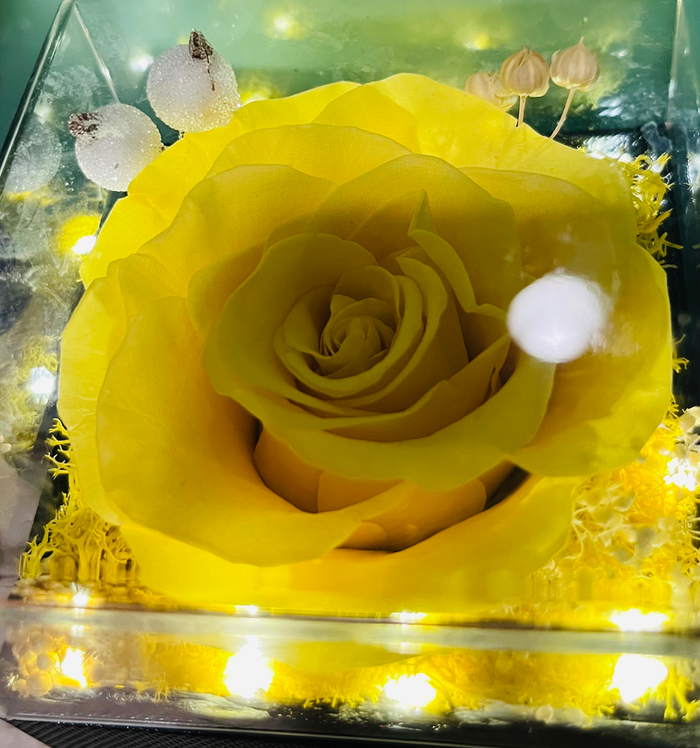 remembering my mother today