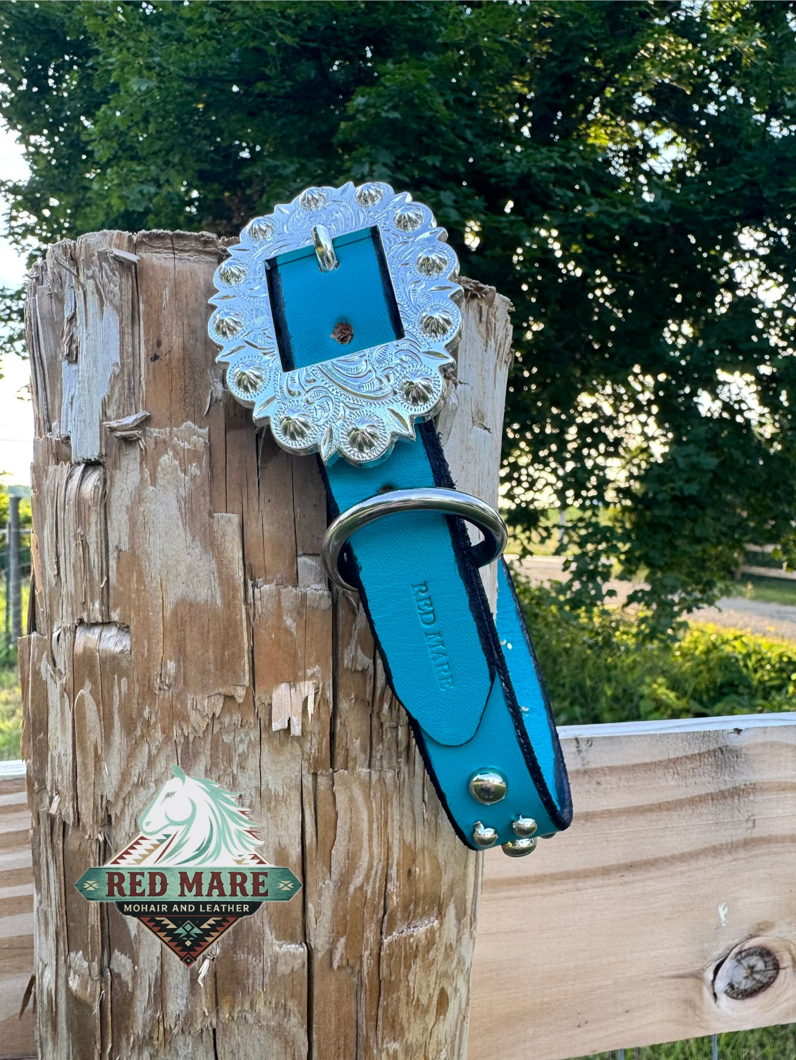Blue Spot Dog Collar L 