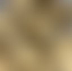 Edible Cookie dough recipe!