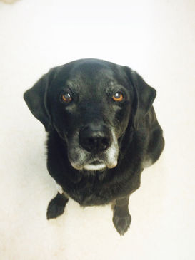 Have you been met with these eyes......WHY?