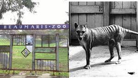 Beaumaris / Hobart Zoo (Hobart, Tasmania)