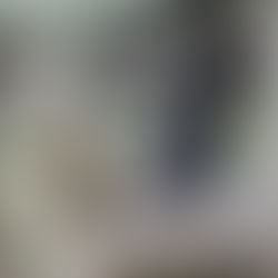 š³ International Gibbon Day ā Swinging into Action for the Forestās Acrobats! š