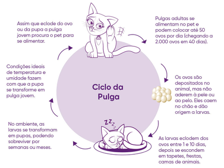 Tudo o que você não sabe sobre pulgas e carrapatos!